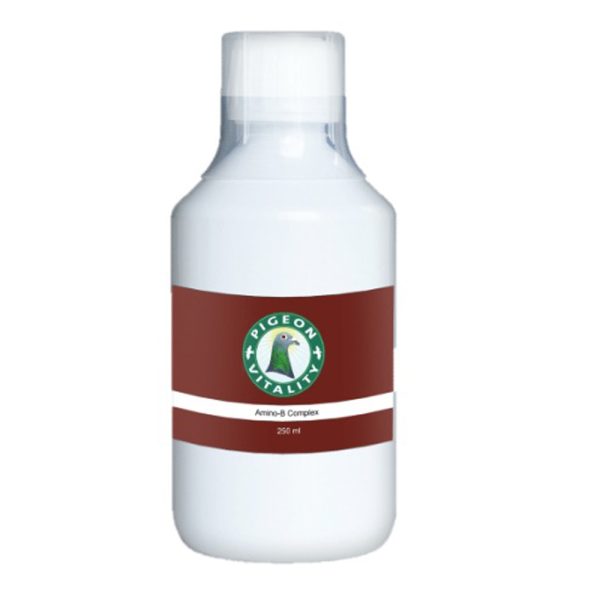 AMINO-B Complex