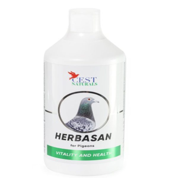 HERBASAN 1000ml